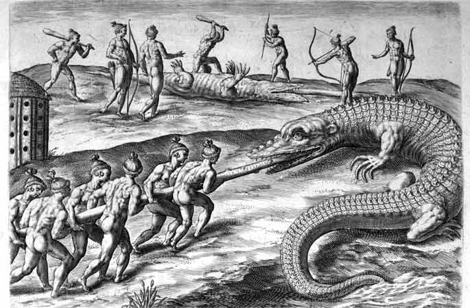 Picture of engraving depicting hunting alligators