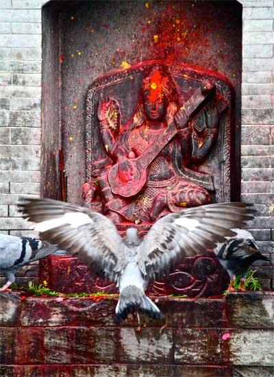 Statue and flying bird in Nepal