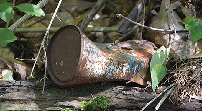 Old Pepsi can among branches and leaves.
