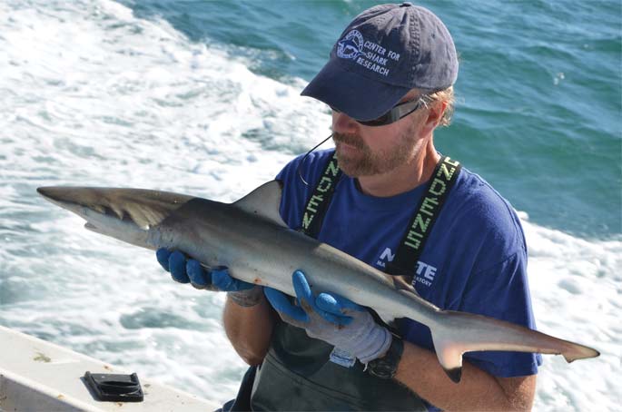 Bob Hueter holds a shark.
