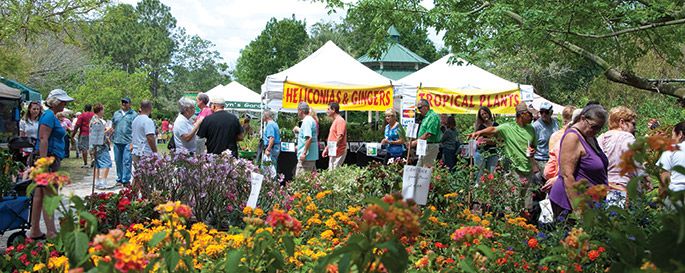 People walk around plants and tents at the USF Botanical Gardens.